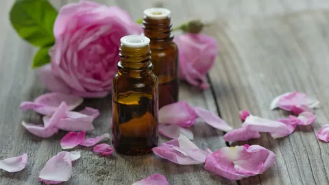گلاب عطر سازی با خلوص طبیعی و رایحه غنی